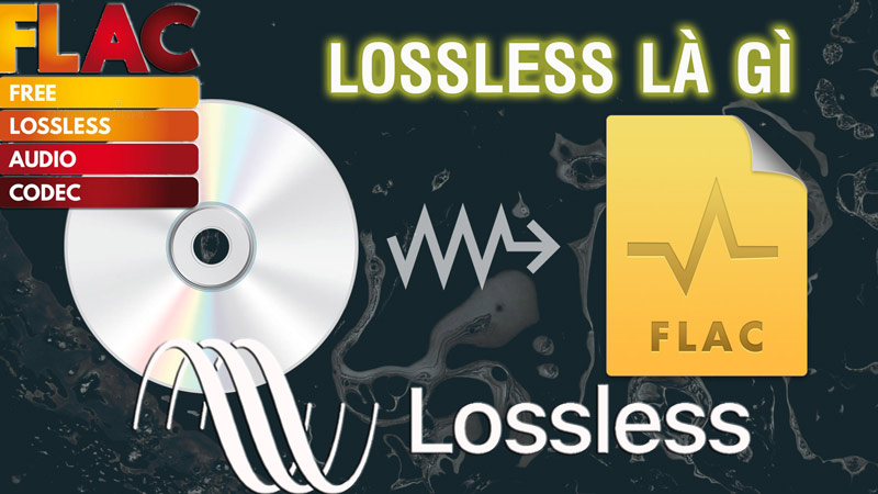 Nhạc số và nhạc LOSSLESS khác biệt nhau ở điểm nào?